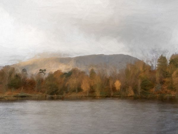 Lake in Autumn Sale