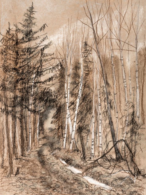 Valley Forest on Sale